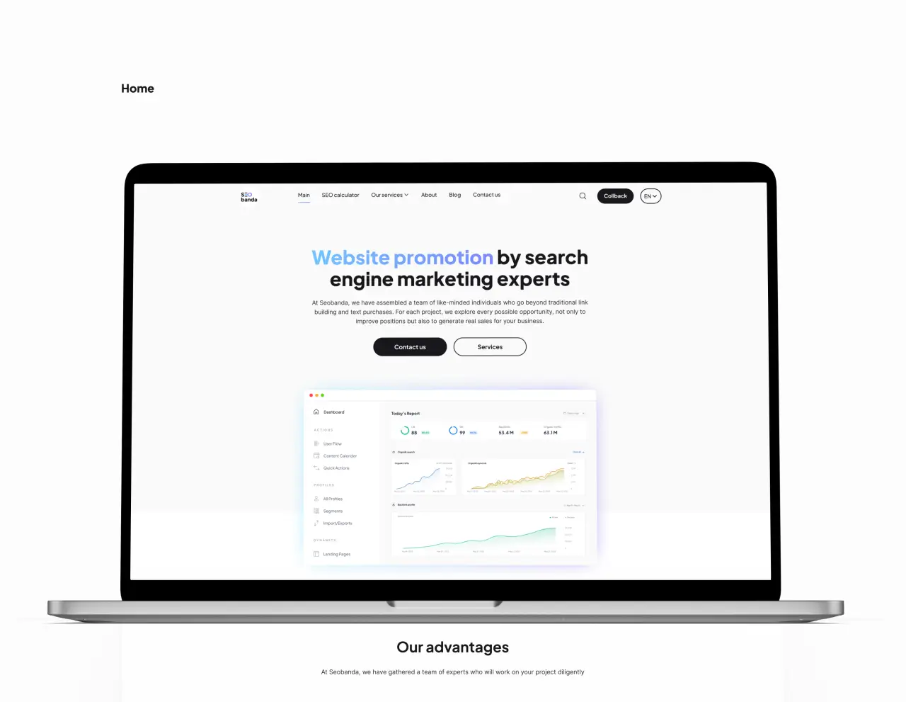 portfolio-seobanda4